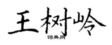 丁谦王树岭楷书个性签名怎么写