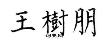 何伯昌王树朋楷书个性签名怎么写