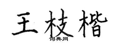 何伯昌王枝楷楷书个性签名怎么写