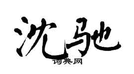 翁闿运沈驰楷书个性签名怎么写