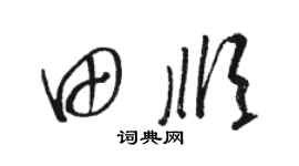 骆恒光田顺草书个性签名怎么写