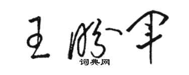 骆恒光王盼军草书个性签名怎么写