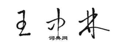 骆恒光王中林草书个性签名怎么写