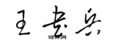 骆恒光王书兵草书个性签名怎么写