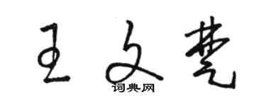 骆恒光王文楚草书个性签名怎么写