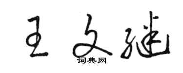 骆恒光王文继草书个性签名怎么写