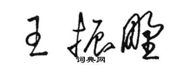 骆恒光王振野草书个性签名怎么写