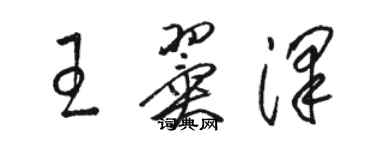 骆恒光王翼泽草书个性签名怎么写