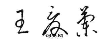 骆恒光王夏兰草书个性签名怎么写