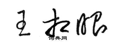 骆恒光王相眼草书个性签名怎么写