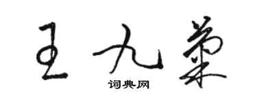 骆恒光王九菊草书个性签名怎么写