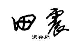 朱锡荣田震草书个性签名怎么写