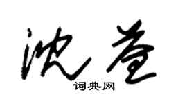 朱锡荣沈益草书个性签名怎么写