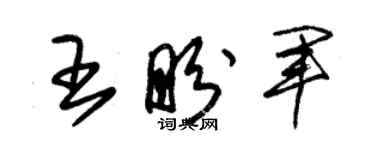 朱锡荣王盼军草书个性签名怎么写