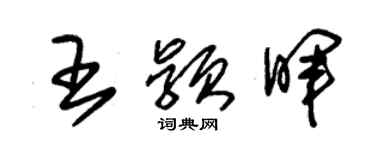 朱锡荣王颖晖草书个性签名怎么写