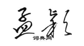 骆恒光孟颖草书个性签名怎么写