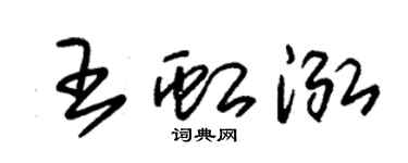 朱锡荣王虹泓草书个性签名怎么写