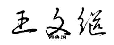 曾庆福王文继草书个性签名怎么写