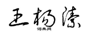 曾庆福王杨洁草书个性签名怎么写