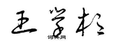 曾庆福王学杉草书个性签名怎么写