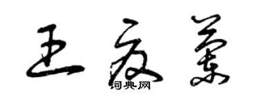 曾庆福王夏兰草书个性签名怎么写