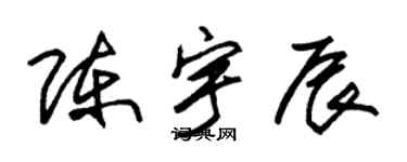 朱锡荣陈宇辰草书个性签名怎么写