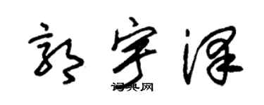 朱锡荣郭宇泽草书个性签名怎么写