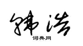 朱锡荣韩浩草书个性签名怎么写