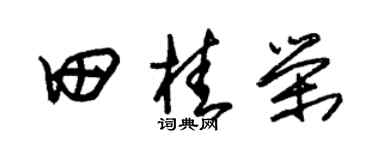 朱锡荣田桂荣草书个性签名怎么写