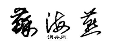 朱锡荣苏海燕草书个性签名怎么写