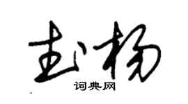 朱锡荣武杨草书个性签名怎么写