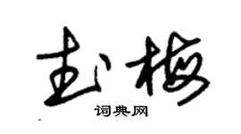 朱锡荣武梅草书个性签名怎么写