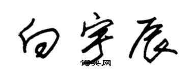 朱锡荣向宇辰草书个性签名怎么写